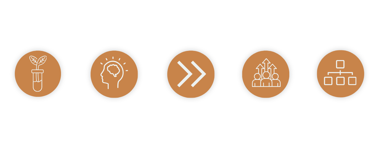 Strategic Plan Graphic
