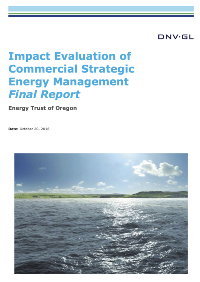 Commercial Strategic Energy Management Report